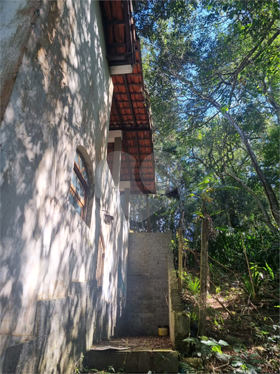 Foto REO1113862