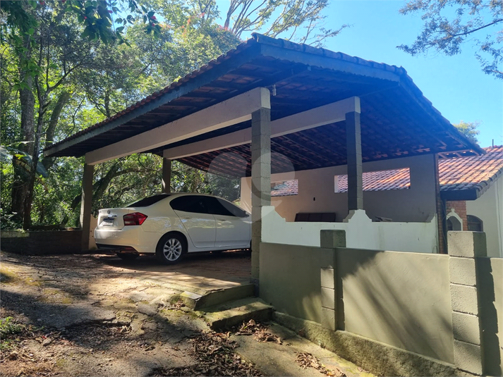 Foto REO1113862