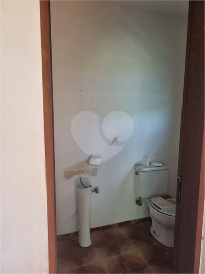 Foto REO1113862