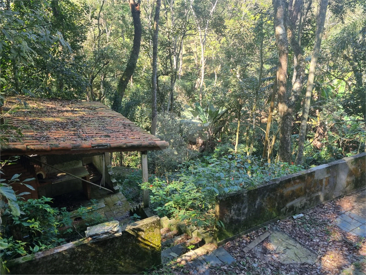 Foto REO1113862
