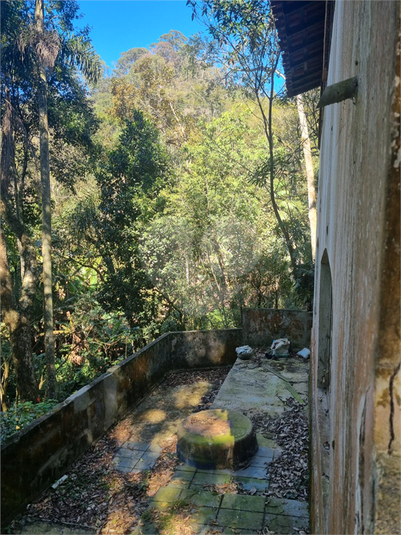 Foto REO1113862
