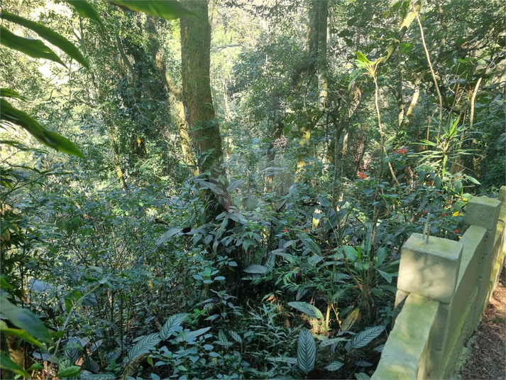 Foto REO1113862