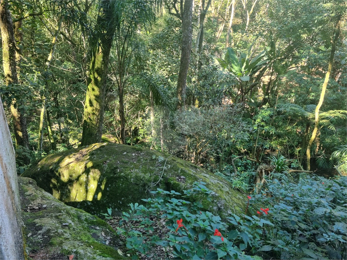 Foto REO1113862