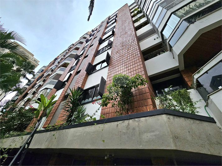 Foto REO1113867