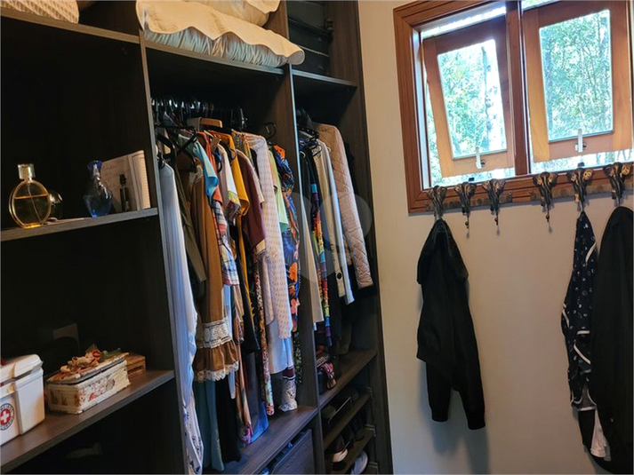 Foto REO1113869