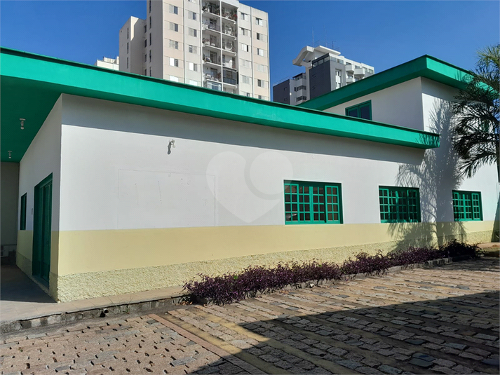 Foto REO1113870