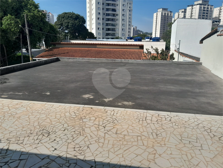 Foto REO1113870