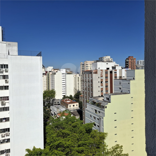 Foto REO1113873