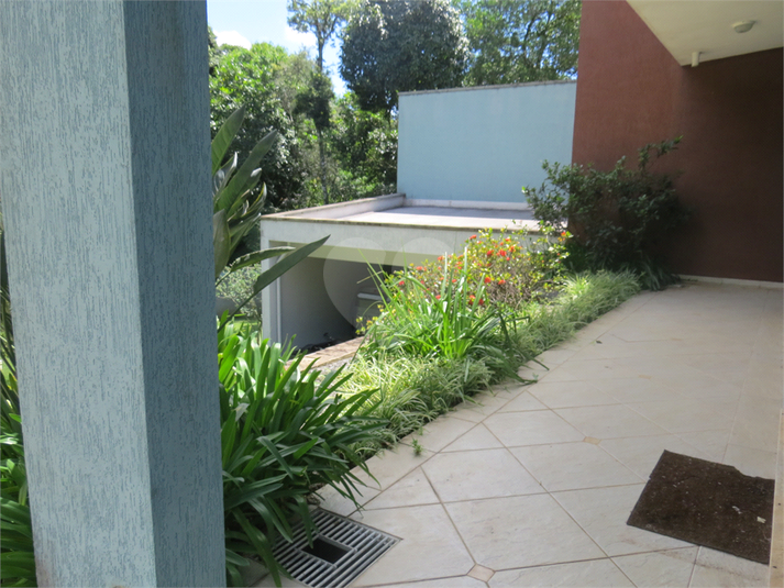 Foto REO1113874