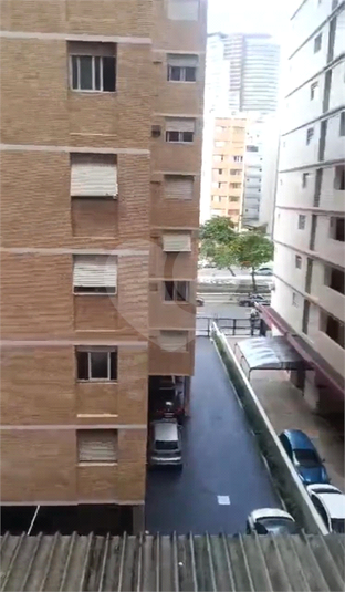 Foto REO1113876