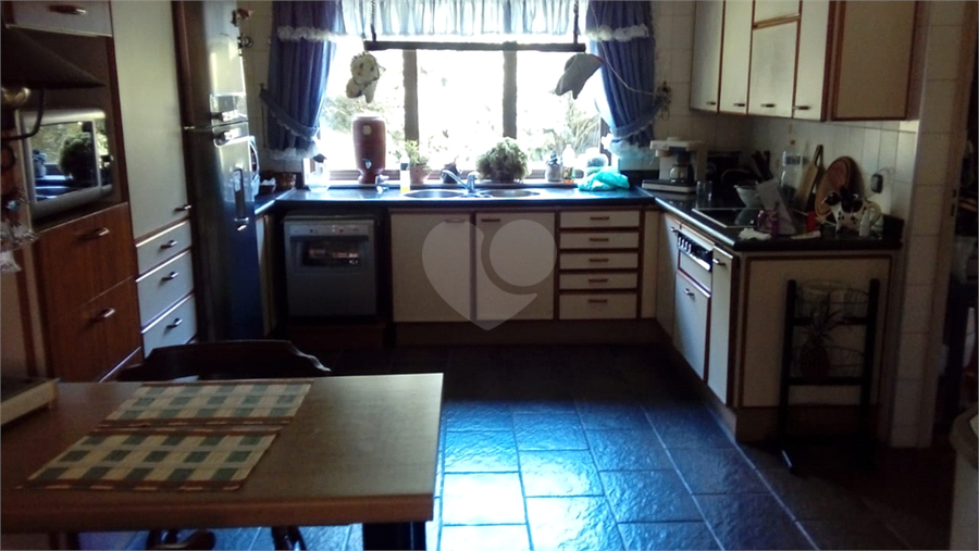 Foto REO1113878