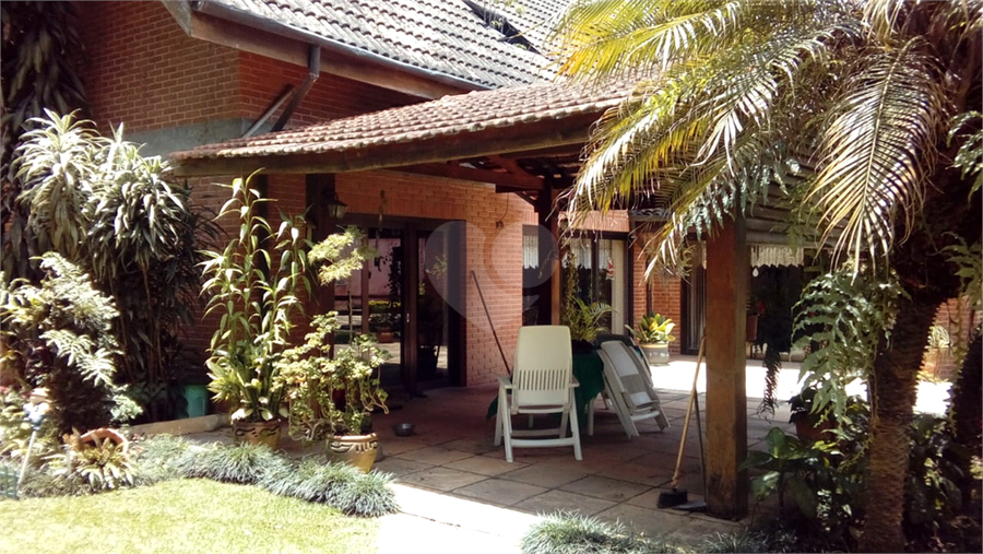 Foto REO1113878