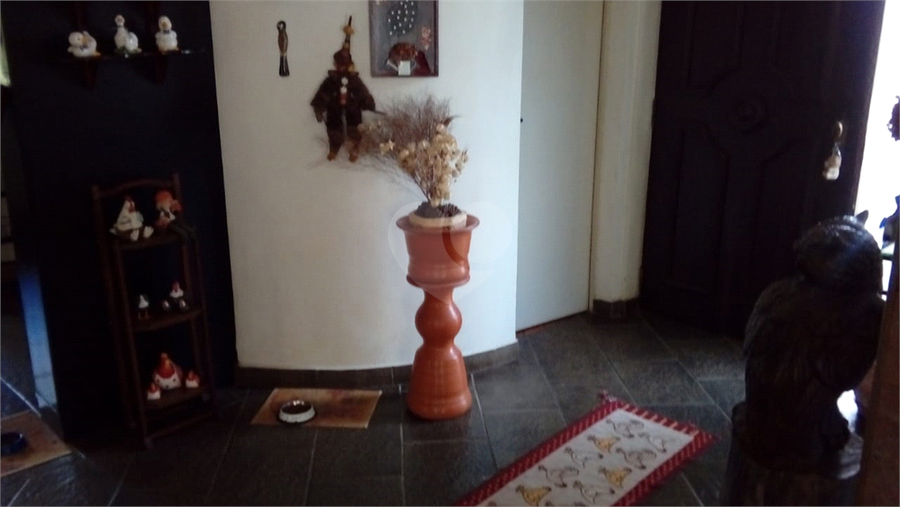 Foto REO1113878