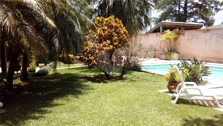 Foto REO1113878