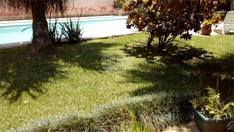 Foto REO1113878