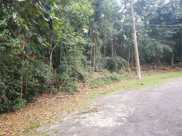 Foto REO1113883