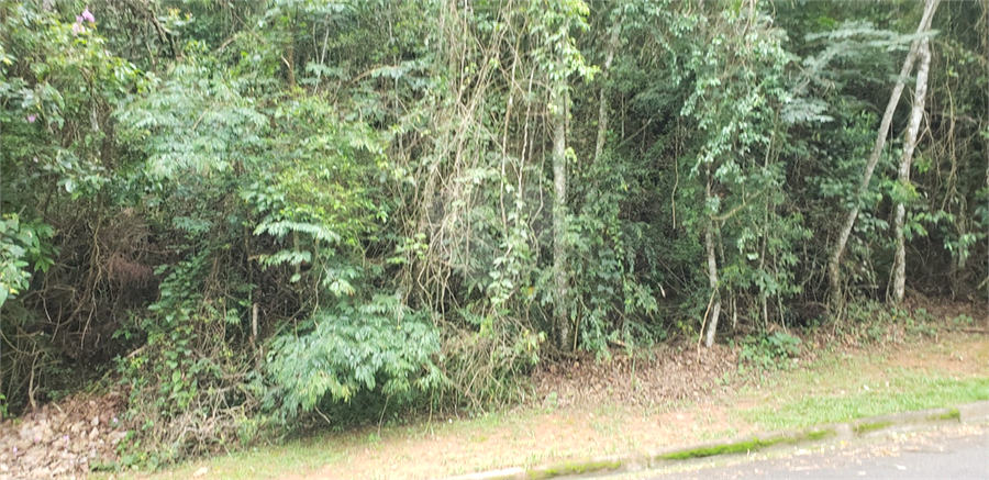 Foto REO1113888