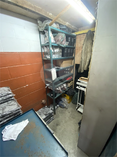 Foto REO1113892