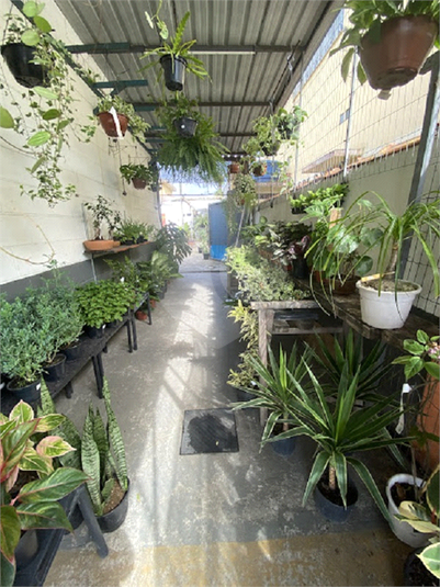 Foto REO1113892