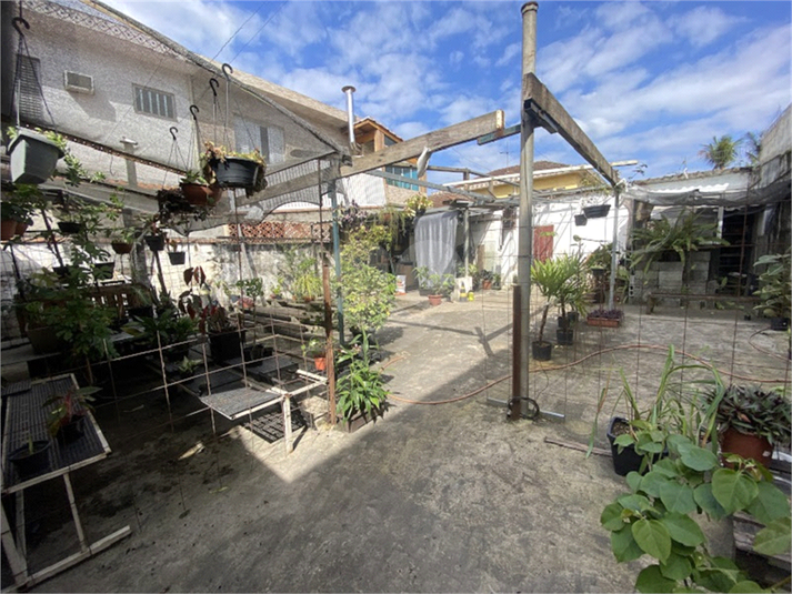 Foto REO1113892