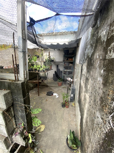Foto REO1113892