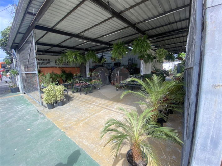 Foto REO1113892