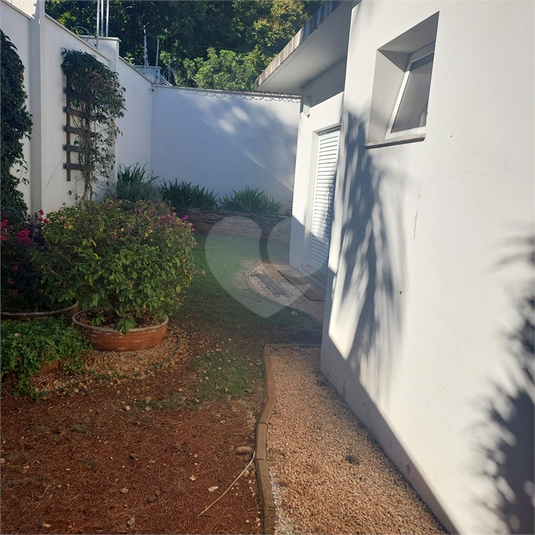 Foto REO1113893
