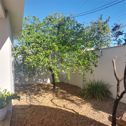 Foto REO1113893