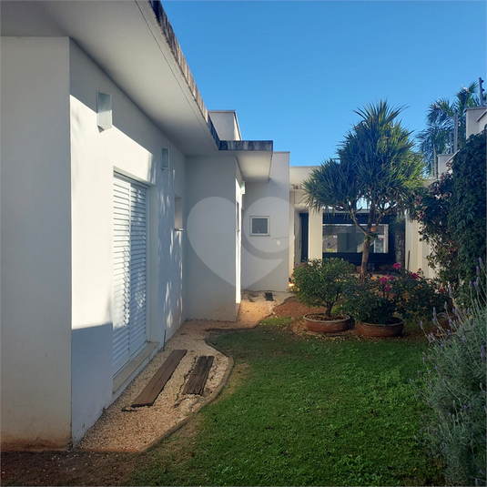 Foto REO1113893