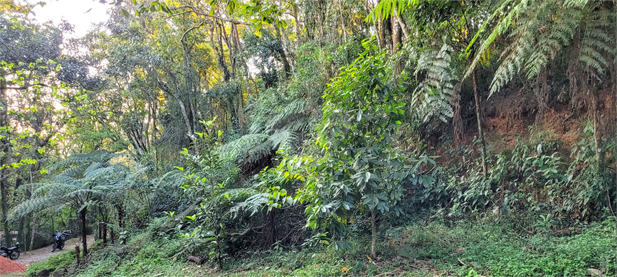 Foto REO1113895