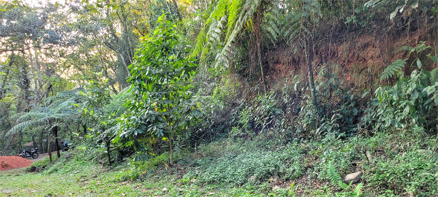 Foto REO1113895