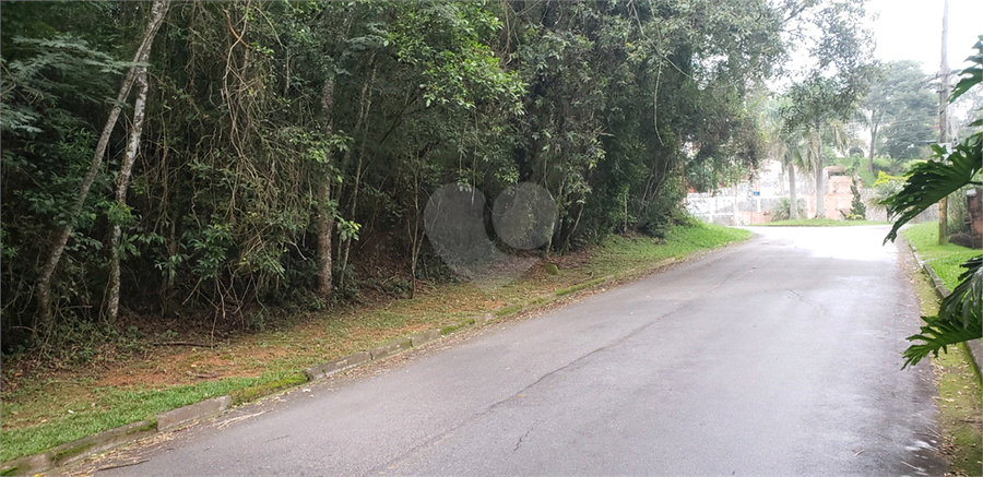 Foto REO1113895