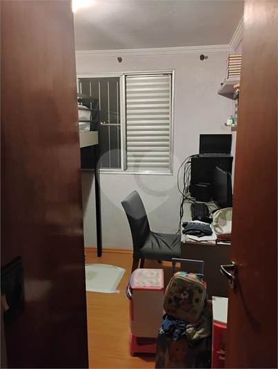 Foto REO1113897