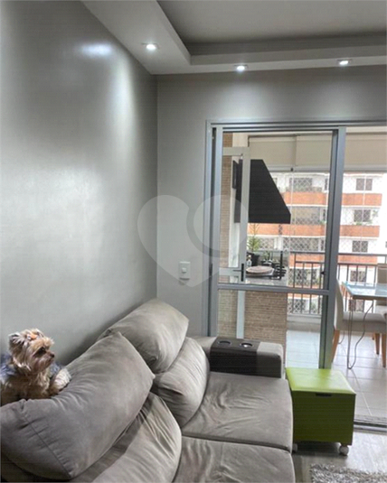 Foto REO1113908