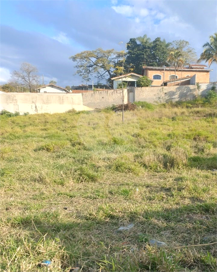 Foto REO1113918