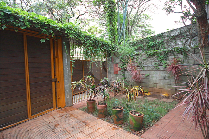 Foto REO1113928