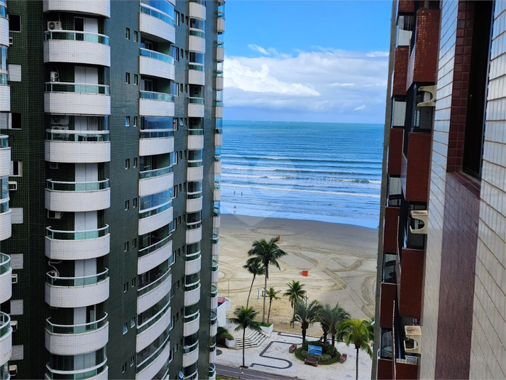Foto REO1113930