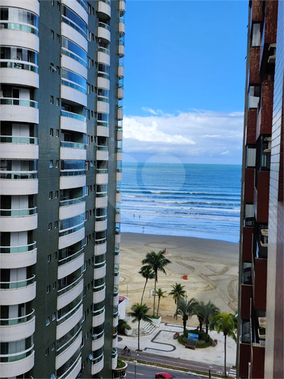 Foto REO1113930
