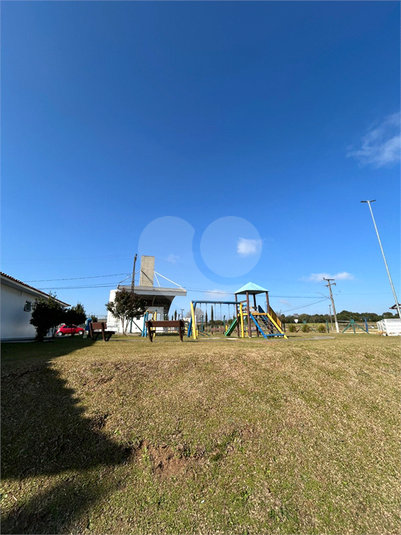 Foto REO1113932