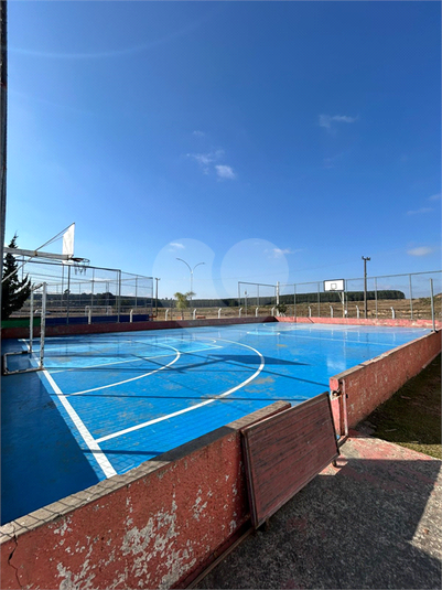 Foto REO1113932
