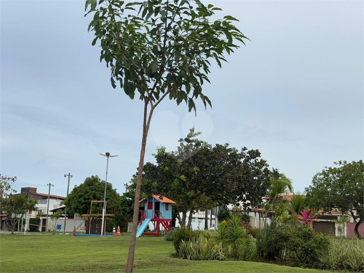 Foto REO1113936