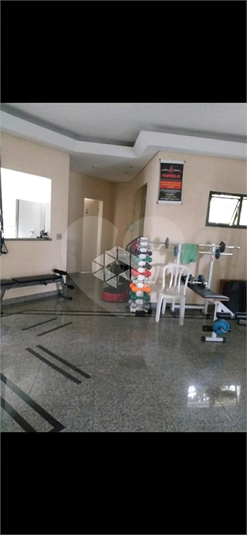 Foto REO1113941