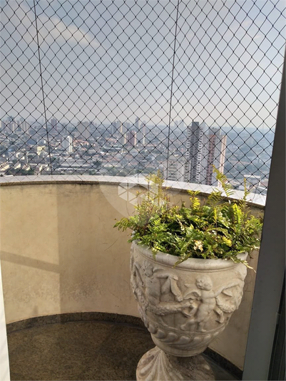 Foto REO1113941