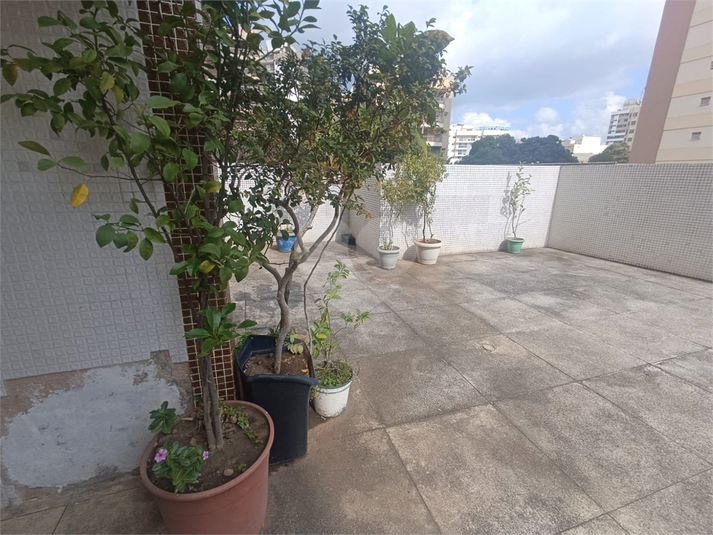 Foto REO1113947