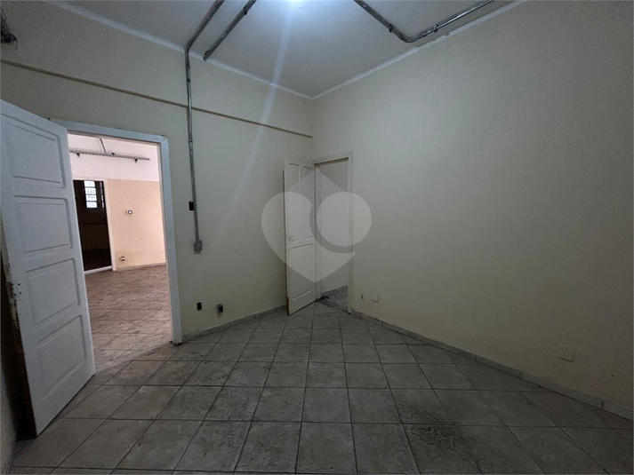 Foto REO1113951