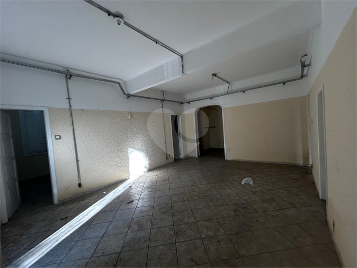 Foto REO1113951