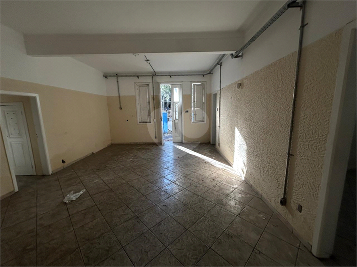 Foto REO1113951