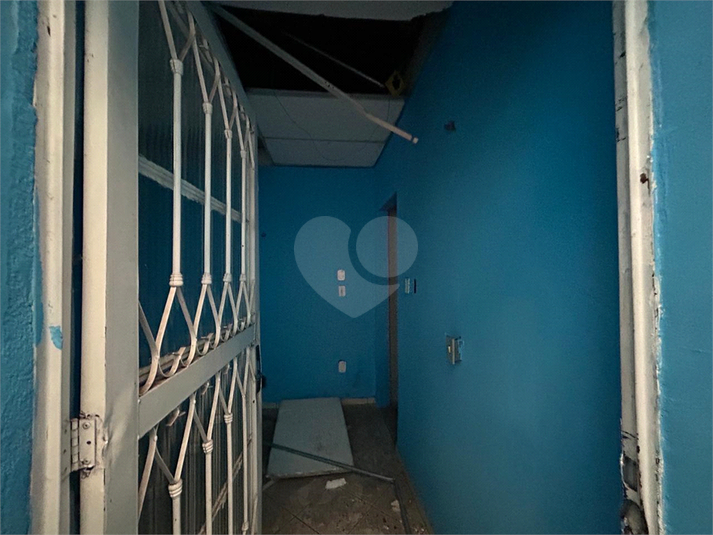 Foto REO1113951