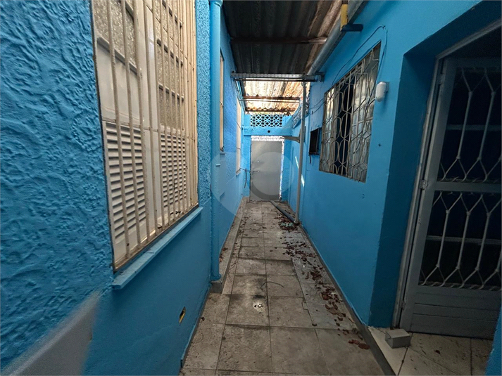Foto REO1113951