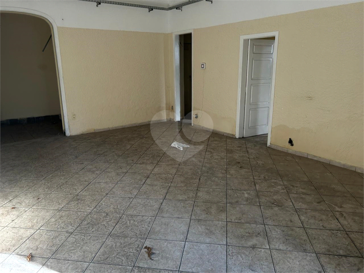 Foto REO1113951